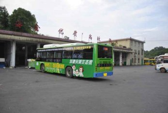 新西蘭智閣板材強(qiáng)勢(shì)登陸湖南營(yíng)銷中心各路公交車